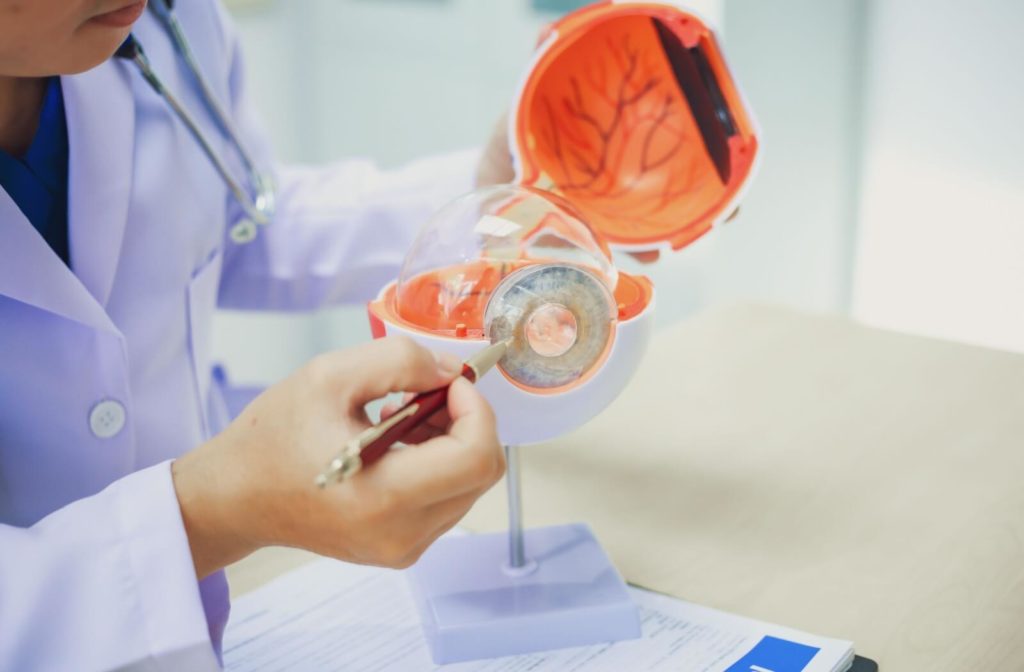 An ophthalmologist explains eye diseases using an eye model at an examination table in a hospital examination room.